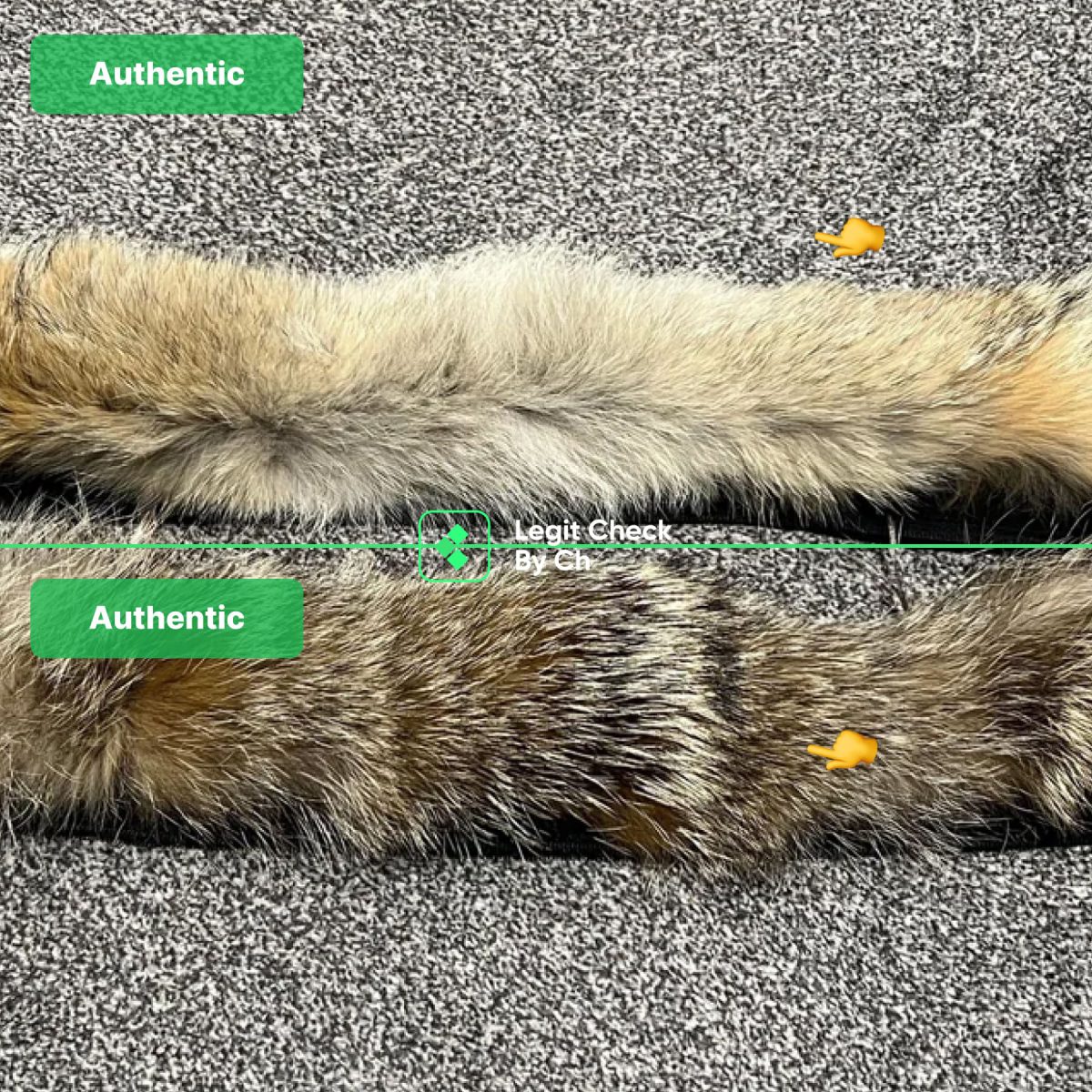 Two authentic examples of Canada Goose fur