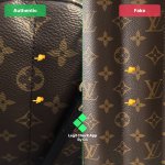 FAKE vs REAL: Louis Vuitton Palm Springs Backpack