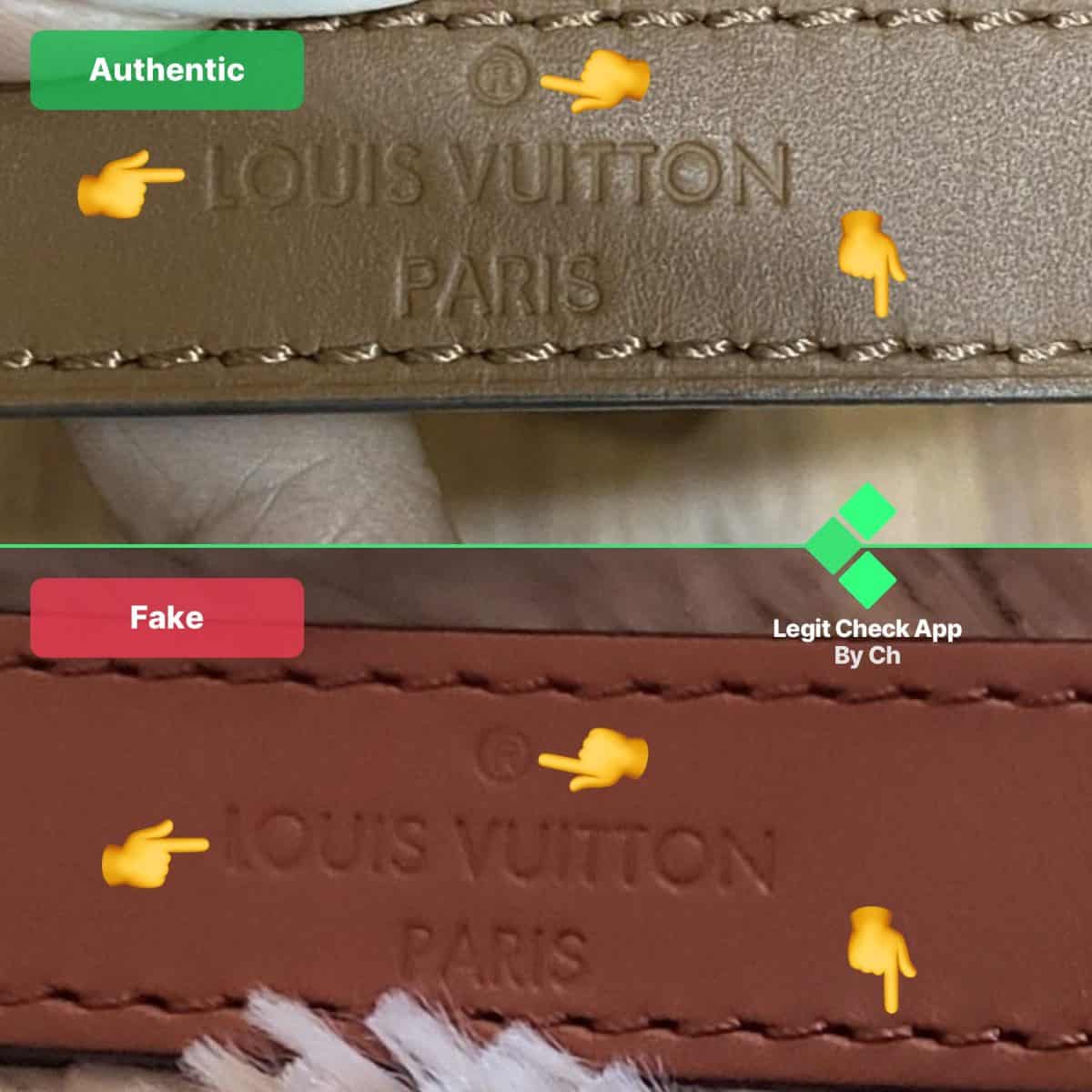 fake vs real Louis Vuitton Mini Dauphine Bag
