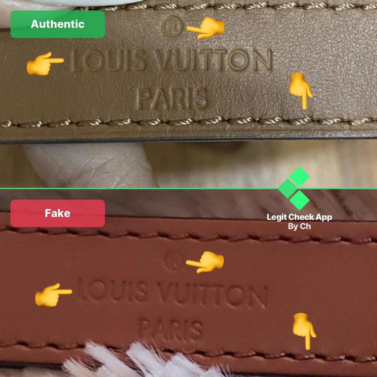 Louis Vuitton DAUPHINE: Can You Tell The FAKE Bag?