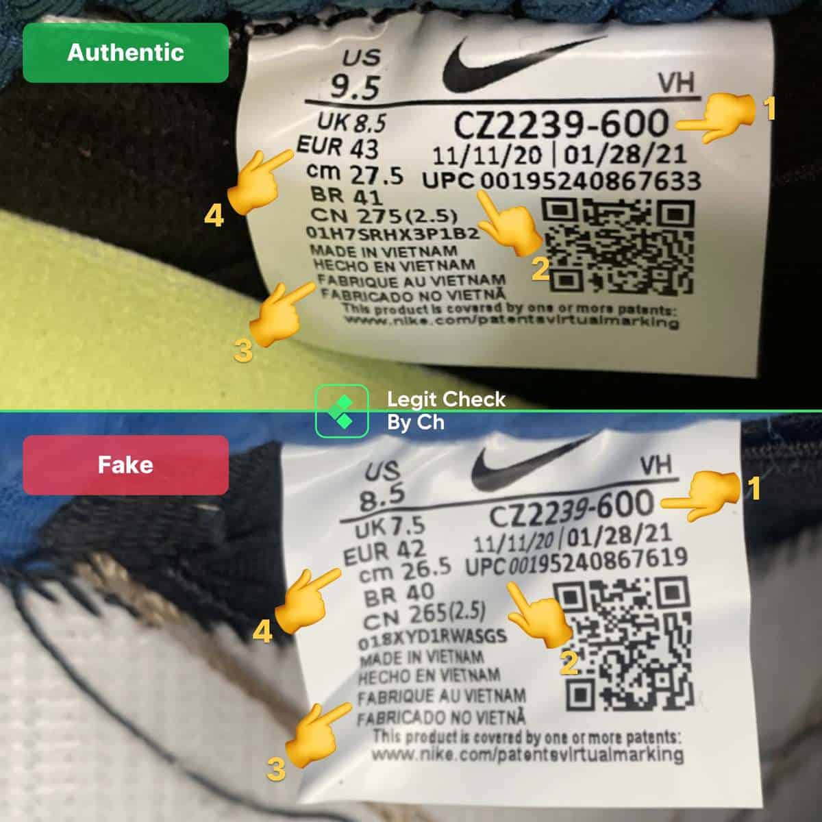 Real Vs Fake: Nike SB Dunk What The Paul (Legit Check)